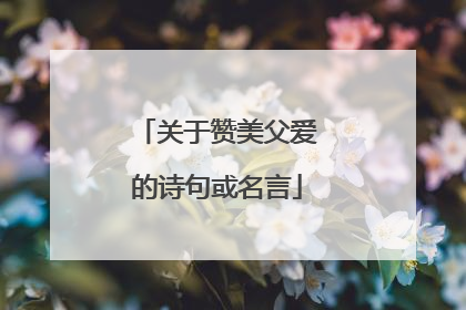 关于赞美父爱的诗句或名言