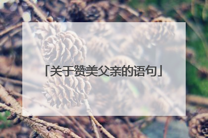 关于赞美父亲的语句