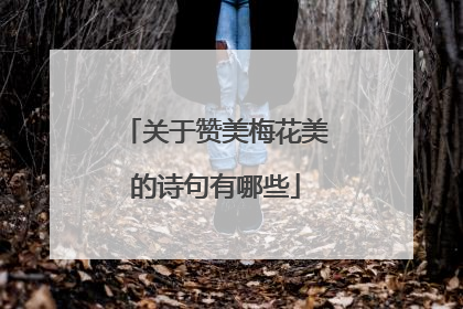 关于赞美梅花美的诗句有哪些