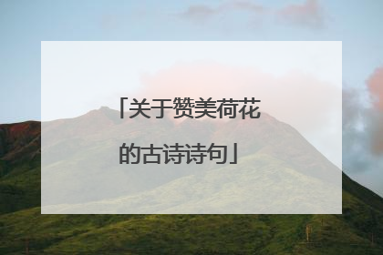 关于赞美荷花的古诗诗句