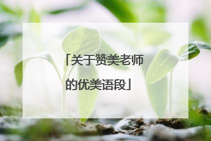 关于赞美老师的优美语段