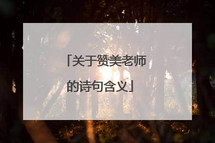关于赞美老师的诗句含义