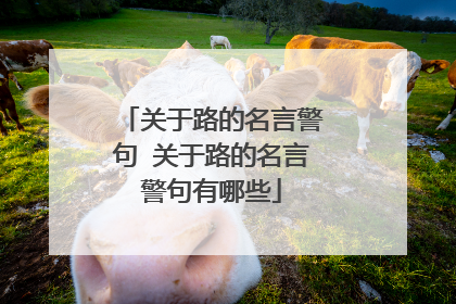 关于路的名言警句 关于路的名言警句有哪些