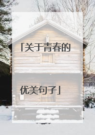 关于青春的优美句子