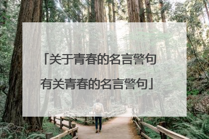 关于青春的名言警句 有关青春的名言警句