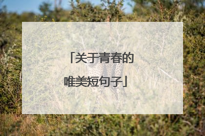 关于青春的唯美短句子