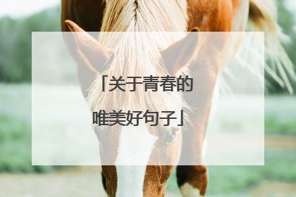 关于青春的唯美好句子