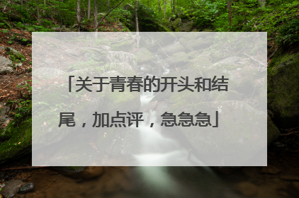 关于青春的开头和结尾,加点评,急急急