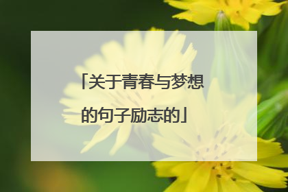 关于青春与梦想的句子励志的