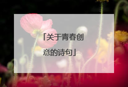 关于青春创意的诗句