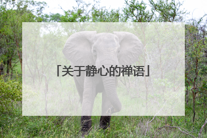 关于静心的禅语