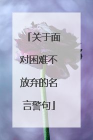 关于面对困难不放弃的名言警句