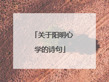 关于阳明心学的诗句