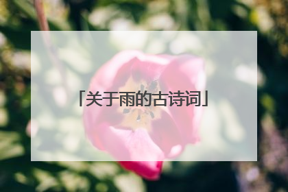 关于雨的古诗词