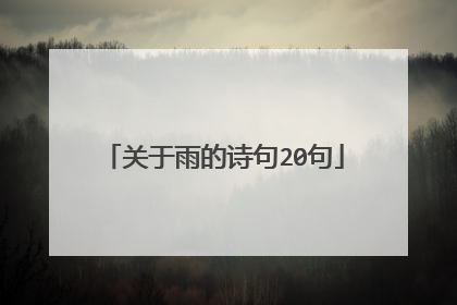 关于雨的诗句20句