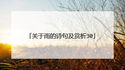 关于雨的诗句及赏析30