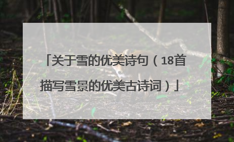关于雪的优美诗句(18首描写雪景的优美古诗词)