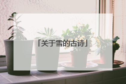 关于雪的古诗