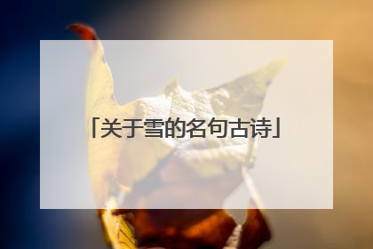 关于雪的名句古诗