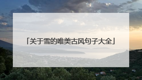 关于雪的唯美古风句子大全
