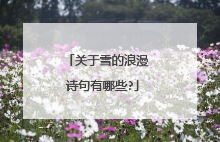 关于雪的浪漫诗句有哪些?