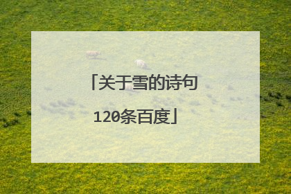 关于雪的诗句120条百度