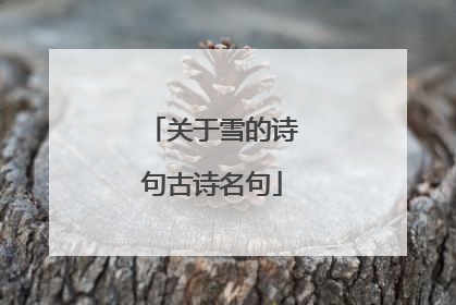 关于雪的诗句古诗名句