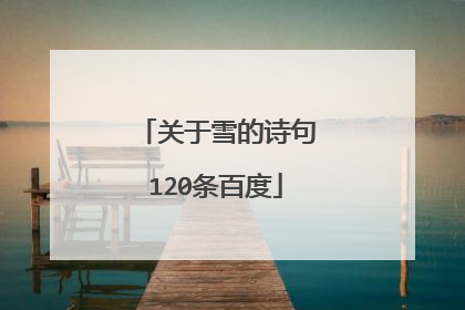 关于雪的诗句120条百度