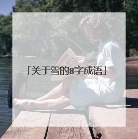 关于雪的8字成语