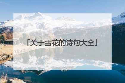 关于雪花的诗句大全