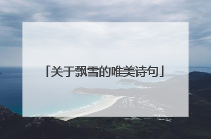 关于飘雪的唯美诗句