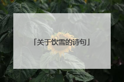 关于饮雪的诗句