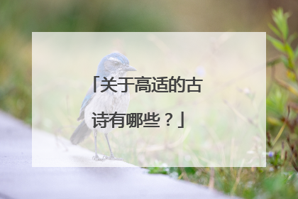 关于高适的古诗有哪些?