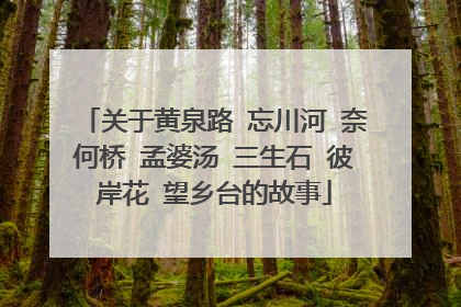 关于黄泉路 忘川河 奈何桥 孟婆汤 三生石 彼岸花 望乡台的故事