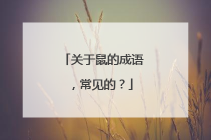 关于鼠的成语,常见的?