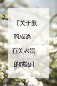 关于鼠的成语 有关老鼠的成语