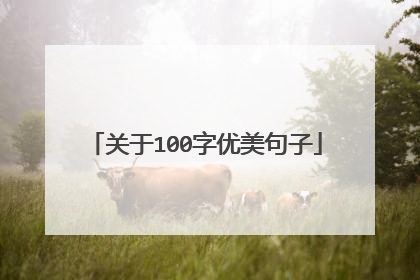 关于100字优美句子