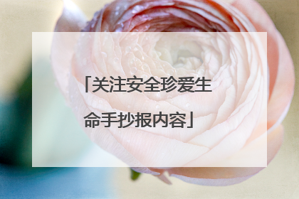 关注安全珍爱生命手抄报内容