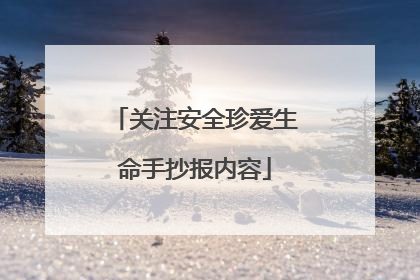 关注安全珍爱生命手抄报内容