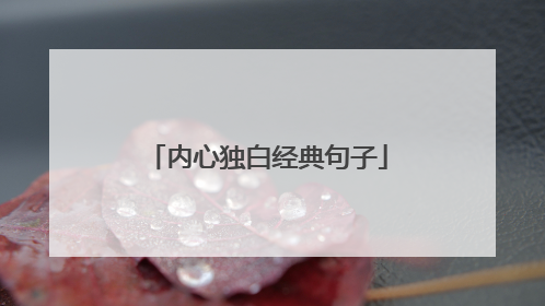 内心独白经典句子