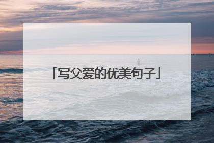 写父爱的优美句子