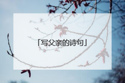 写父亲的诗句
