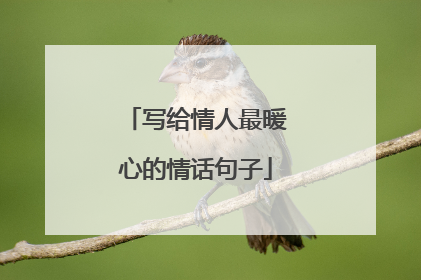 写给情人最暖心的情话句子