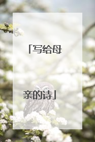 写给母亲的诗