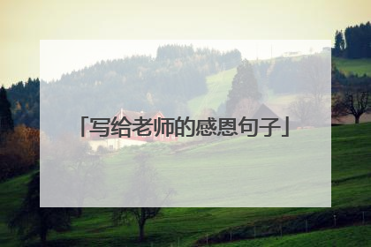 写给老师的感恩句子