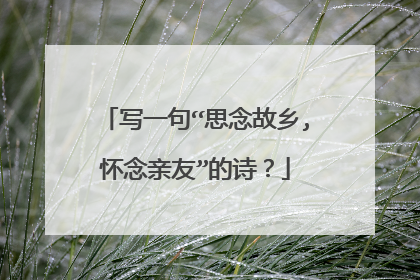 写一句“思念故乡,怀念亲友”的诗?