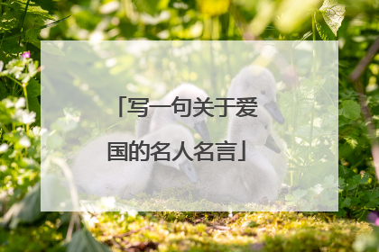 写一句关于爱国的名人名言