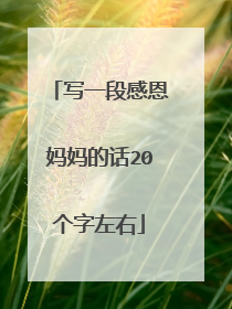 写一段感恩妈妈的话20个字左右
