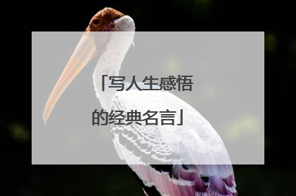 写人生感悟的经典名言