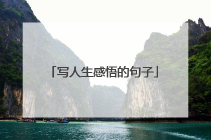 写人生感悟的句子